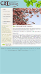 Mobile Screenshot of cbtniagara.com